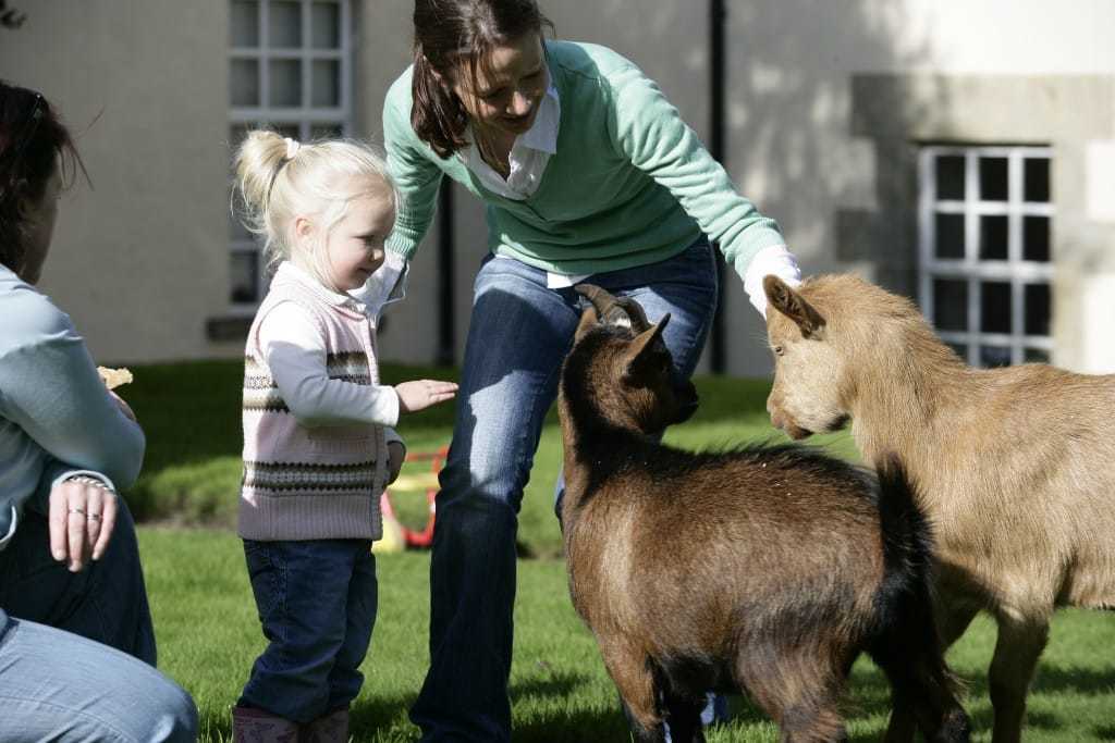 family holiday Pet Friendly Kids activities onsite Blessingbourne fermanagh self catering tyrone fivemiletown five mile town northern ireland things to do fermanagh