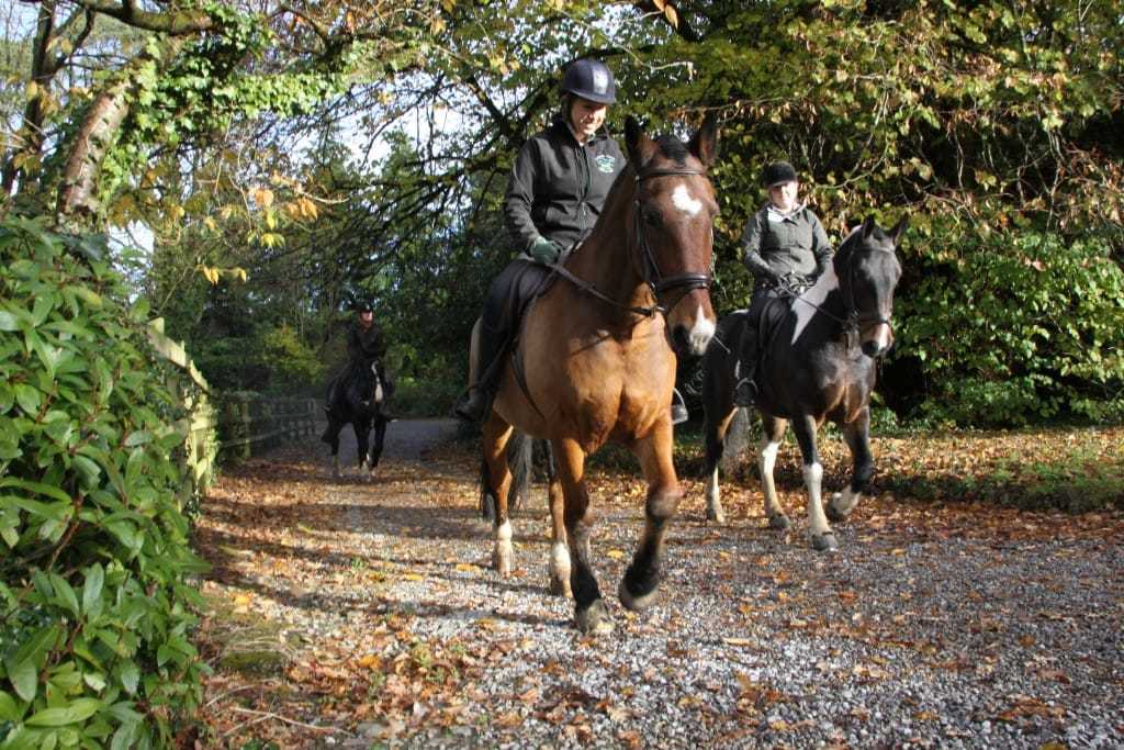 learn to Horse riding onsite blessingbourne country estate family holiday Pet Friendly Kids activities fermanagh self catering tyrone fivemiletown five mile town northern ireland things to do fermanagh