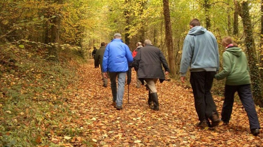 Ely Lodge Forest Dog Walking Trail in Fermanagh