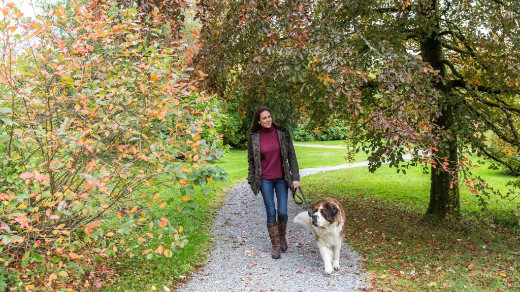 Florencecourt: Dog Walking Trails in Fermanagh and Tyrone