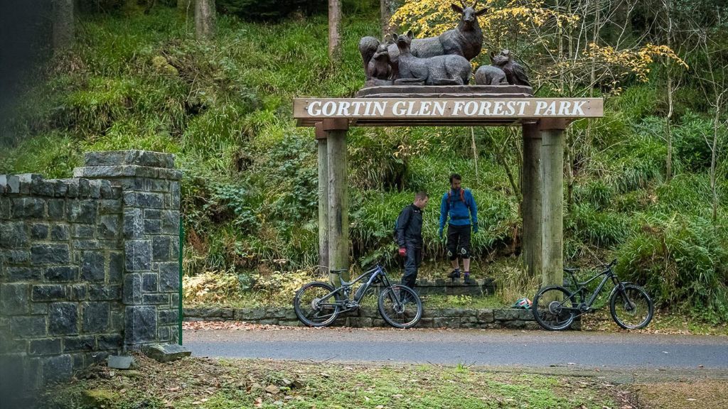 Gortin Glen Forest Walking Trail for Dogs Tyrone