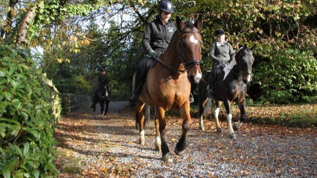 Horseback Riding Northern Ireland