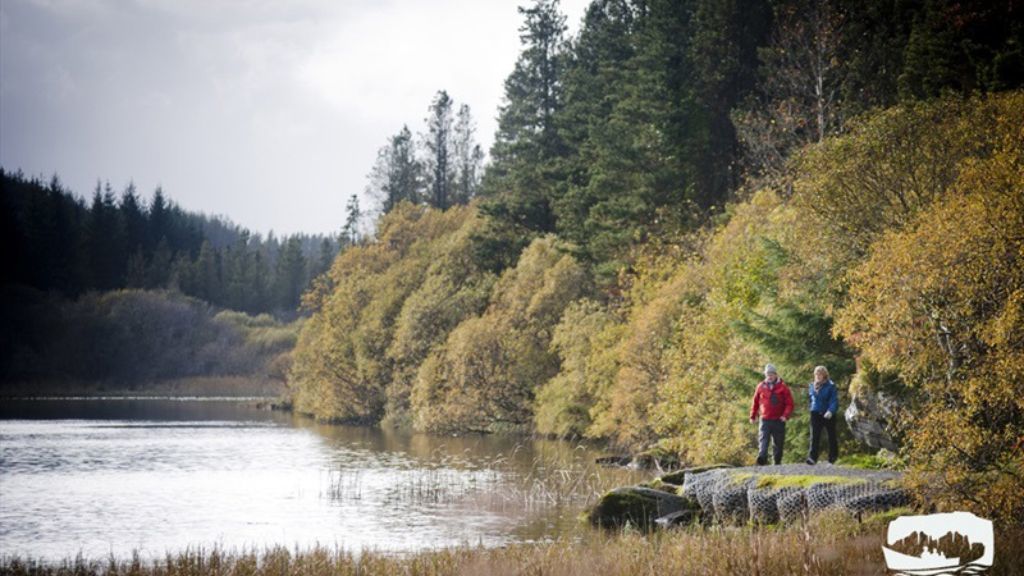 Lough Navar Forest Walk