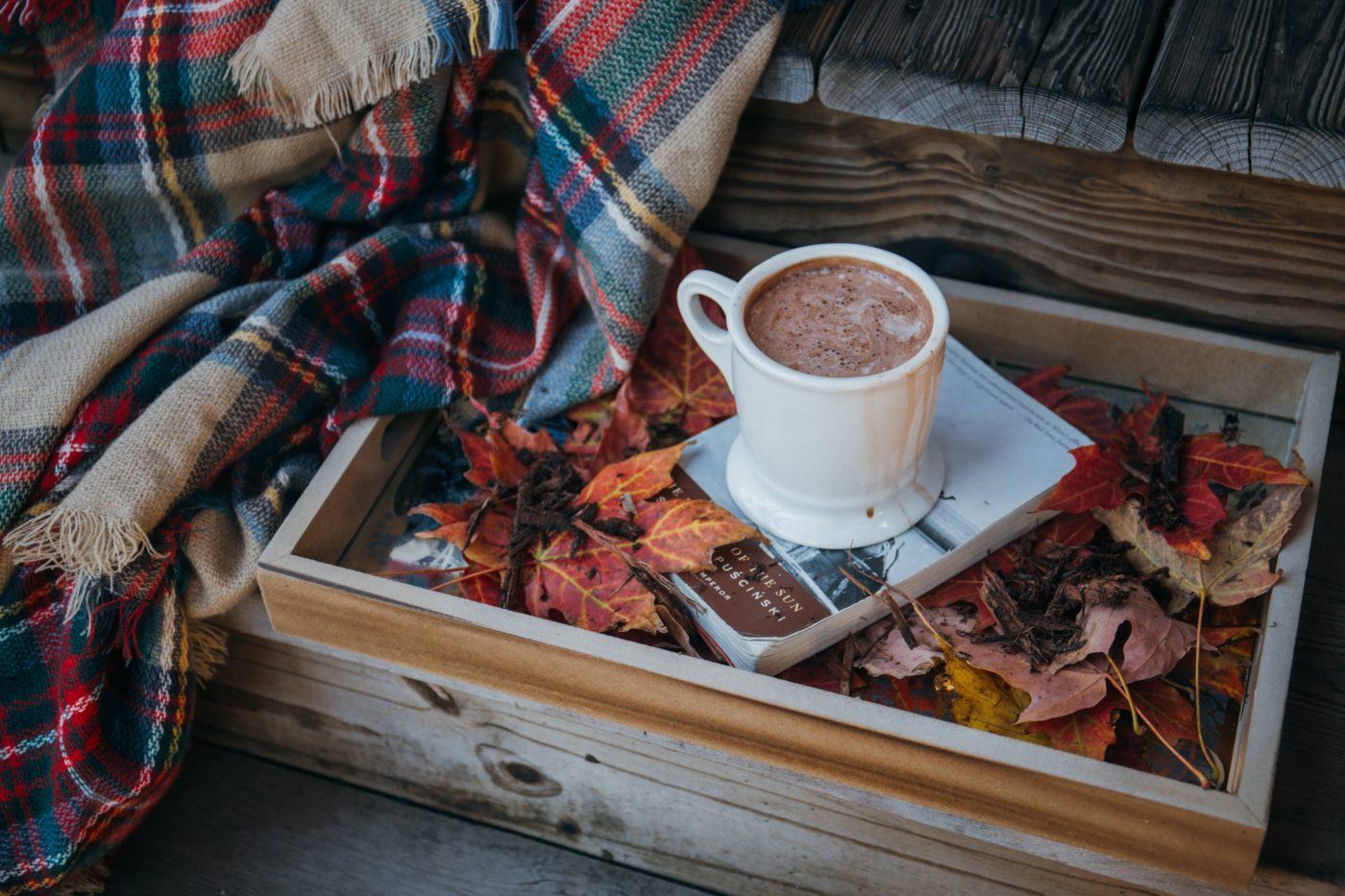 hot chocolate autumn books leaves 