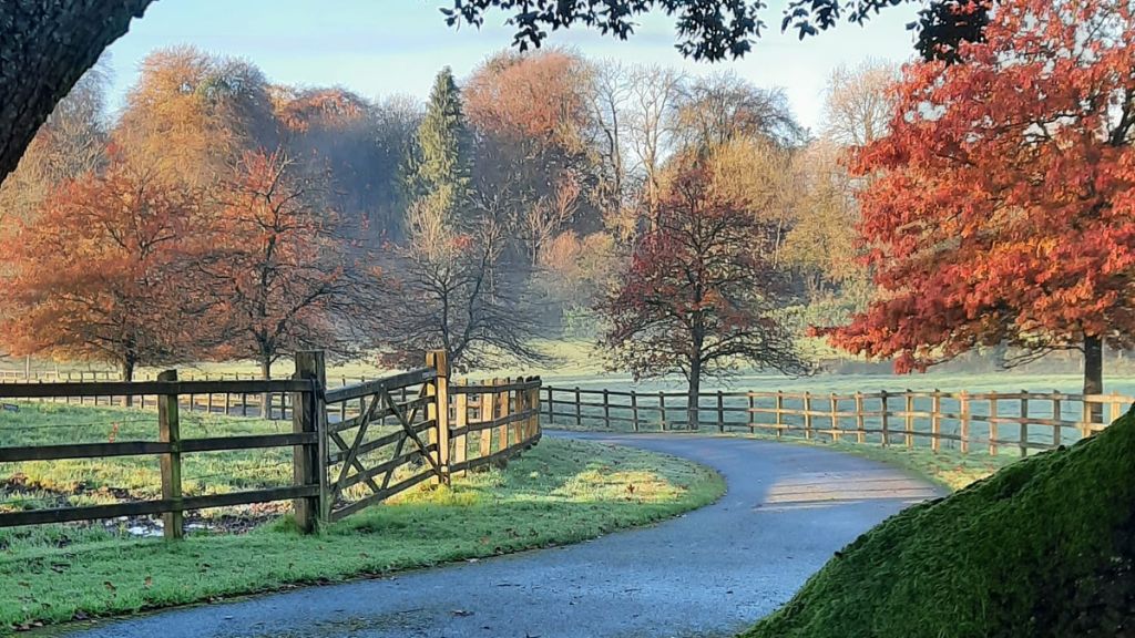 biodiversity at blessingbourne