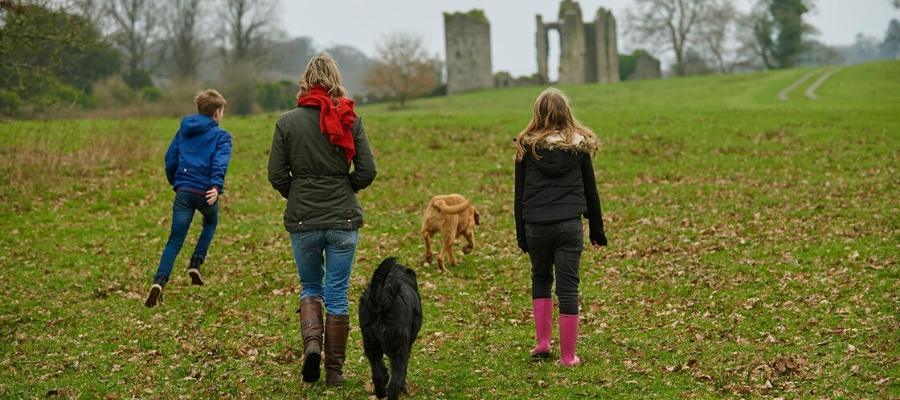 dog friendly walking trails